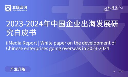 2023年中國互聯(lián)網(wǎng)家居售后服務市場研究報告 信息技術(shù)咨詢服務的角色與前景