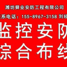 深耕果業沃土，科技引領未來——記榮成市果樹技術推廣站馬道分站的實踐與探索