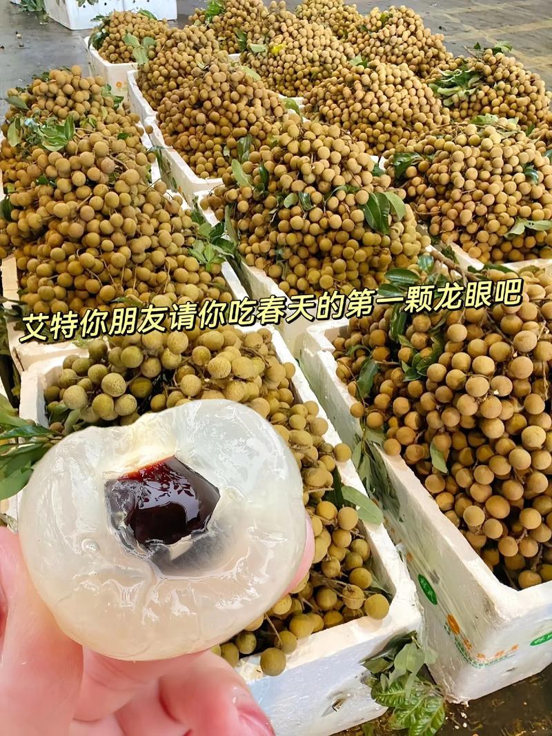龍眼正當季 小小一顆，憑什么成為夏日寶藏水果？